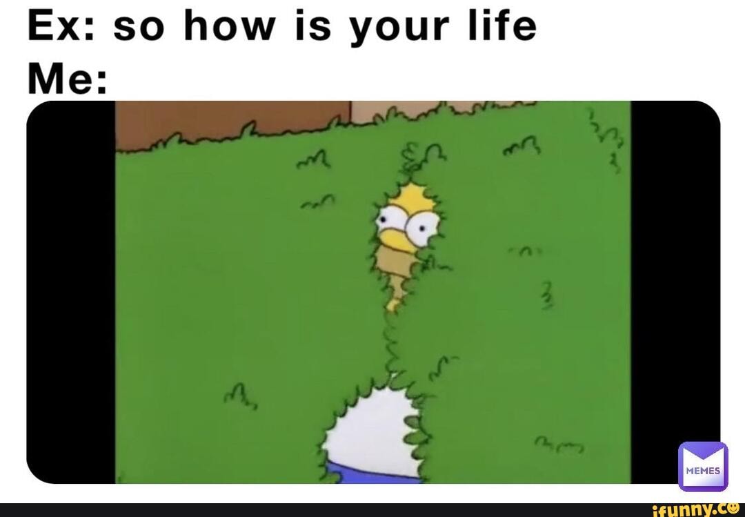 exmemes-memes-wtfmeme-simpsons-ex-so-how-is-your-life-me-ifunny