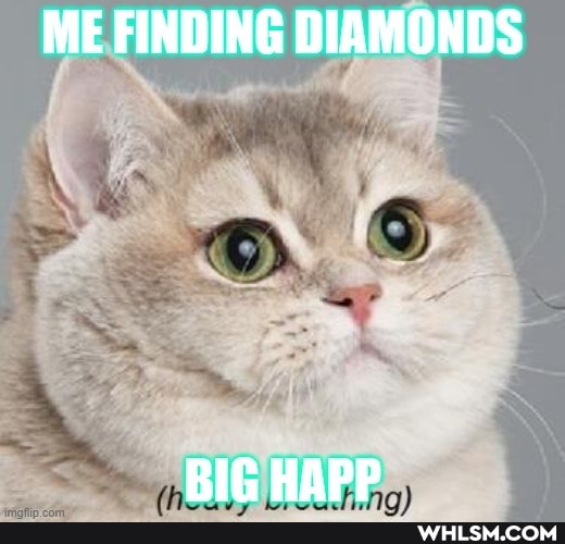 ME FINDING DIAMONDS
RIt HAPP
