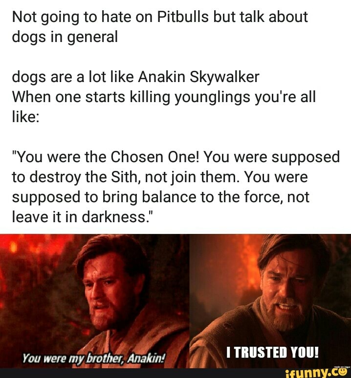 Not Going To Hate On Pitbulls But Talk About Dogs In General Dogs Are A Lot Like Anakin Skywalker When One Starts Killing Younglings You Re All Like You Were The Chosen One