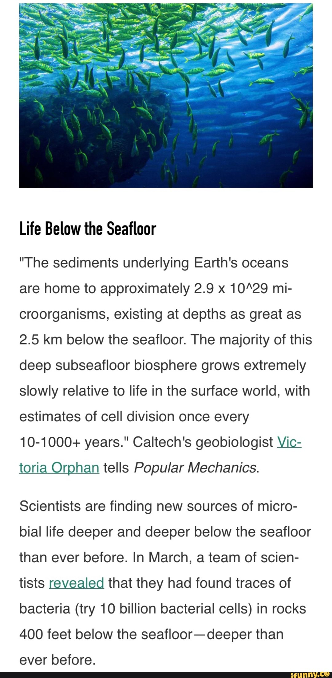 Life Below the Seafloor 