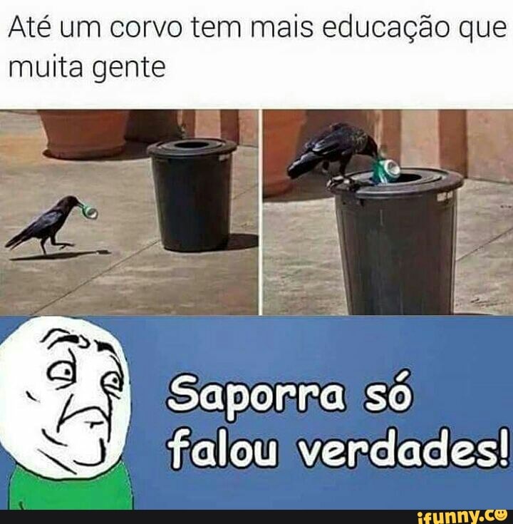 Até um corvo tem mais educação que
muita gente
Saporra! só
NE) falou verdades!