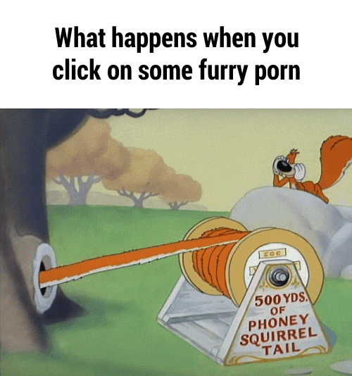 What happens when you, click on some furry porn