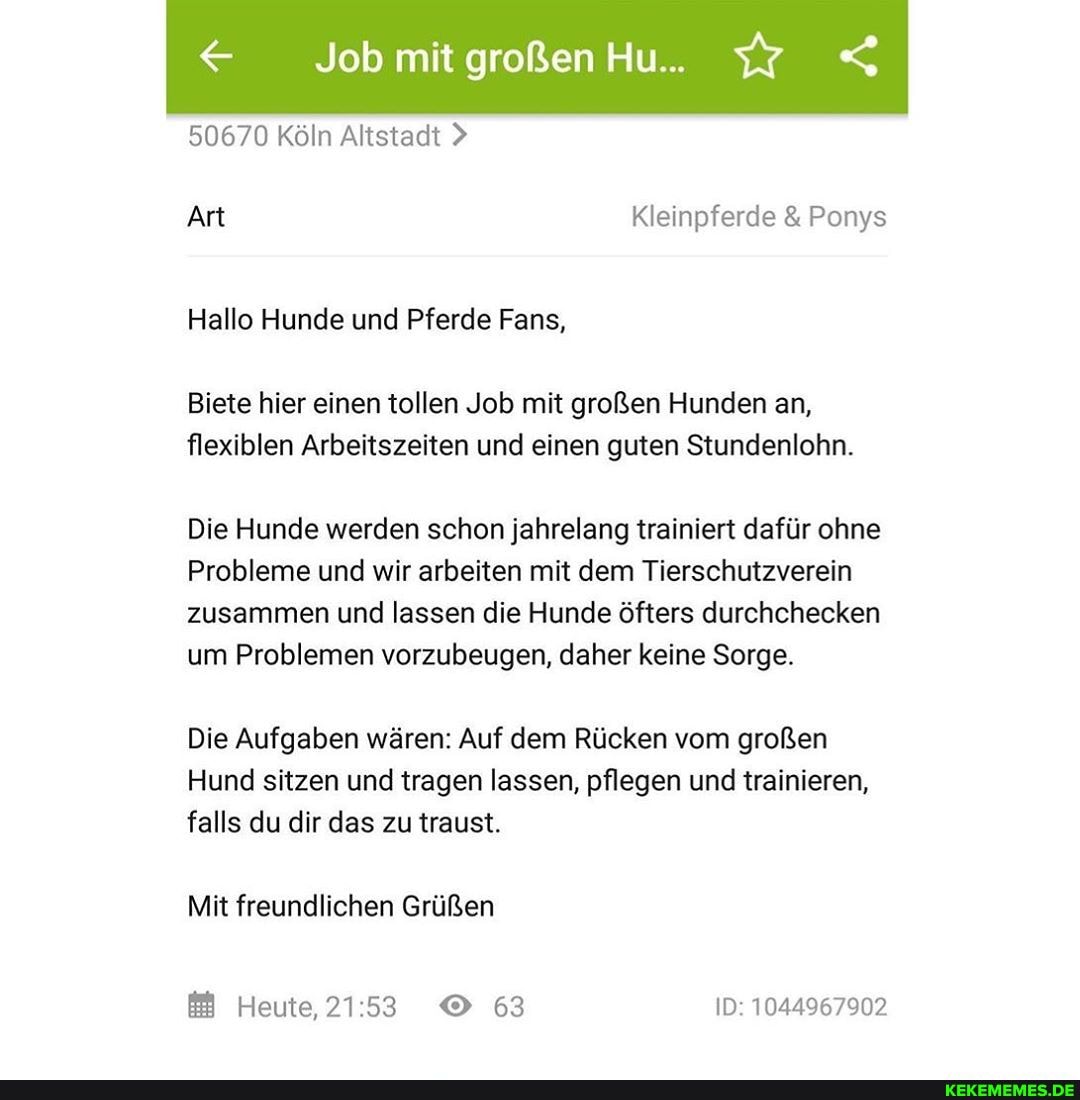 < Job mit großen Hu .
Art Kleinpferde Ponys
50670 Köln Altstadt >
Hallo Hunde und Pferde Fans,
Biete hier einen tollen Job mit großen Hunden an, flexiblen Arbeitszeiten und einen guten Stundenlohn.
Die Hunde werden schon jahrelang trainiert dafür ohne
Probleme und wir arbeiten mit dem Tierschutzverein zusammen und lassen die Hunde öfters durchchecken um Problemen vorzubeugen, daher keine Sorge.
Die Aufgaben wären: Auf dem Rücken vom großen
Hund sitzen und tragen lassen, pflegen und trainieren,
falls du dir das zu traust.
Mit freundlichen Grüßen
Heute, 2153 63 ID: 1044967902