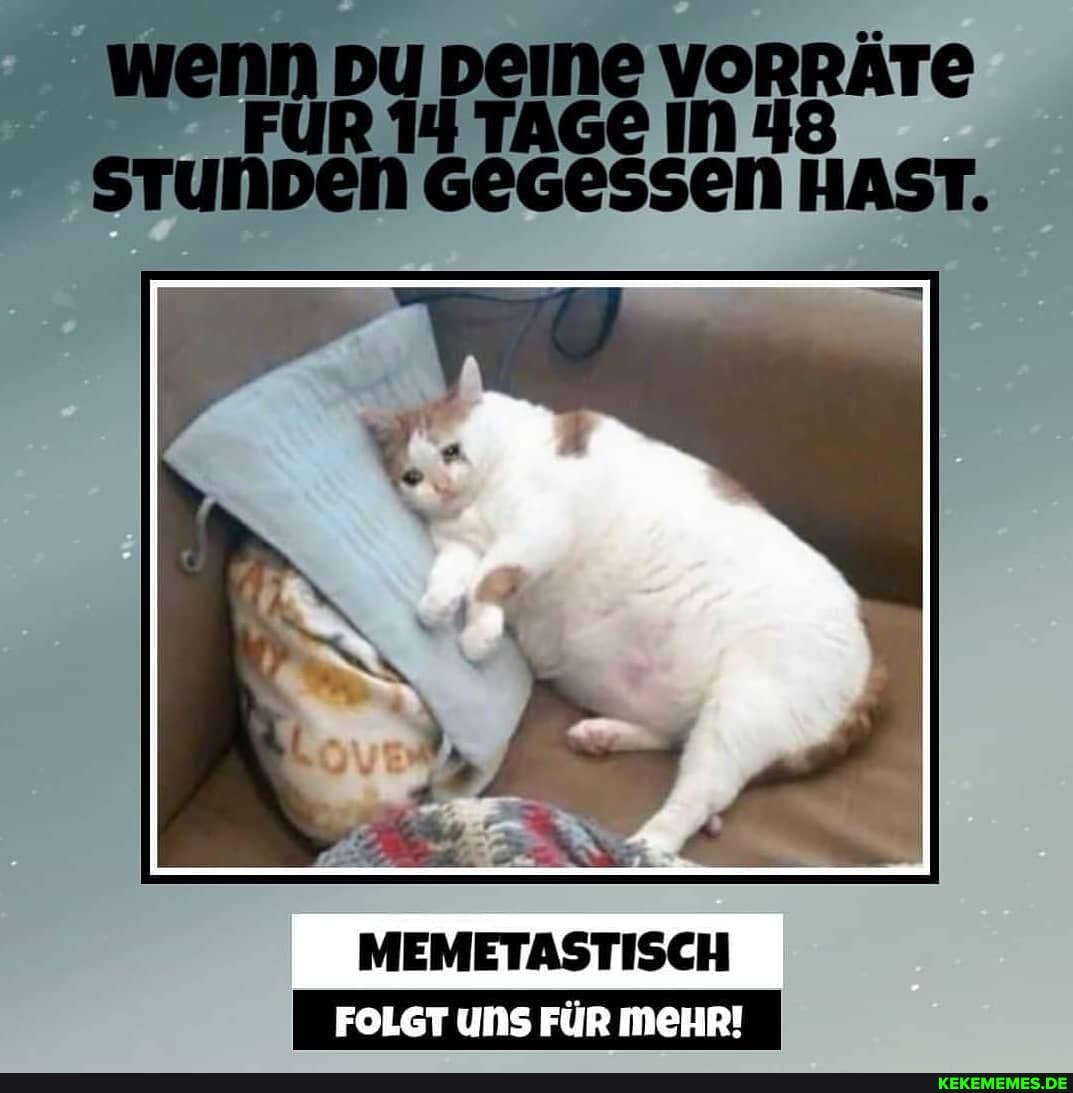 Wenn pu eine VoRRÄTE ER TAGE IN STUNDEN GEGESSEN HAST.
MEMETASTISCH
FOLGT UNS FÜR MEHR!