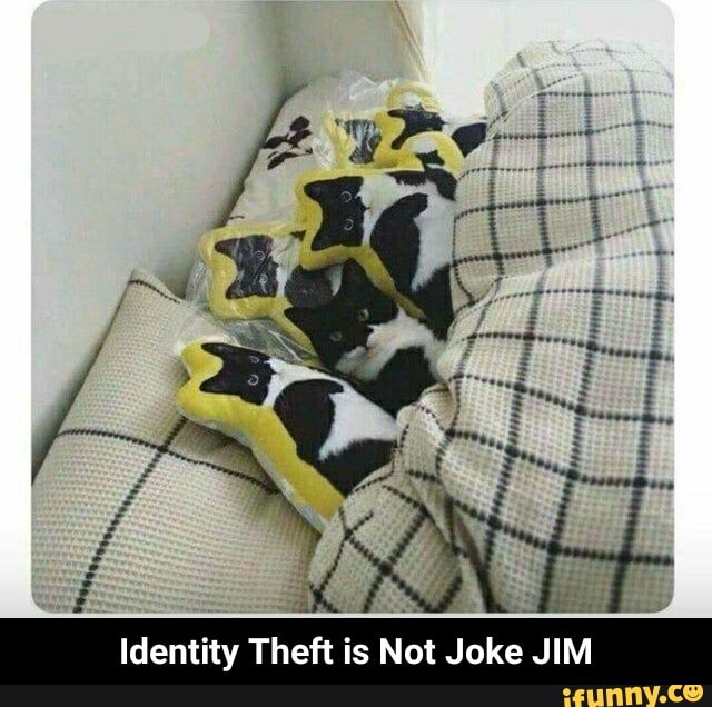 Identity Theft Is Not Joke Jim Identity Theft Is Not Joke Jim Ifunny 3634