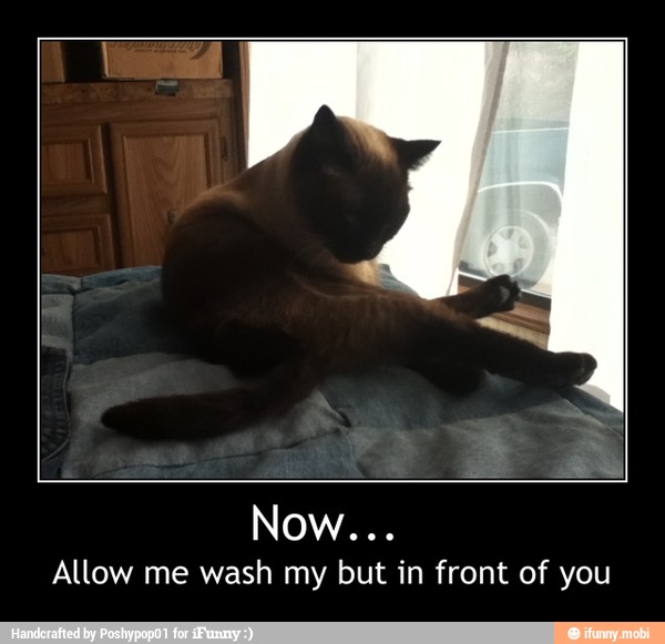 Allow me wash my but in front of you - Now...
Allow me wash my but in front of you