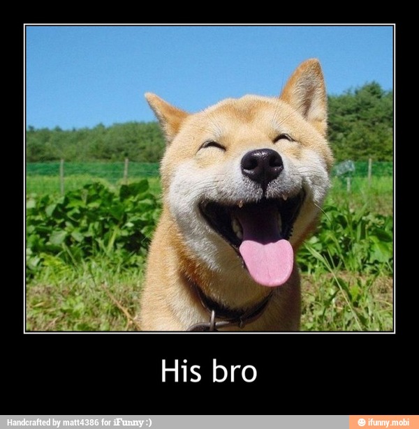 gggghh-memes-best-collection-of-funny-gggghh-pictures-on-ifunny