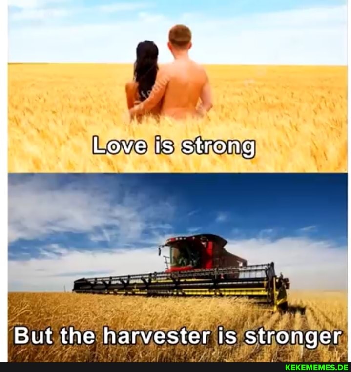 Love is strong
But the harvester is stronger