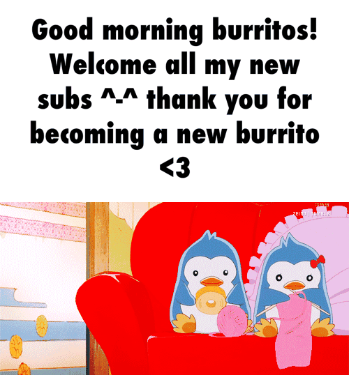 Good morning burritos! all my new subs “J“ thank you for