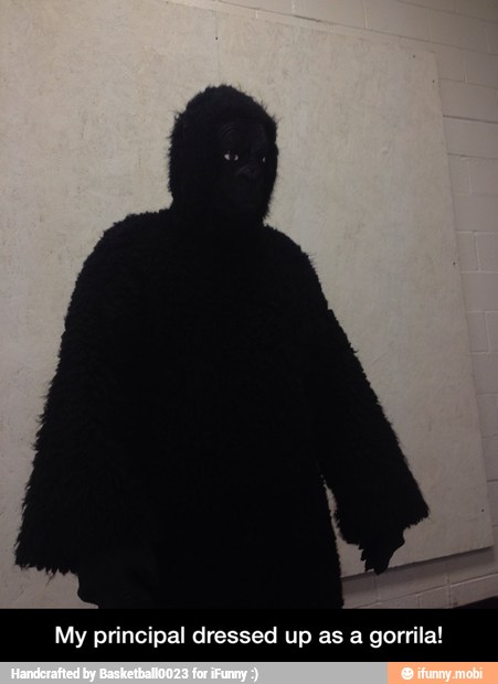 My principal dressed up as a gorrila! - My principal dressed up as a gorrila!