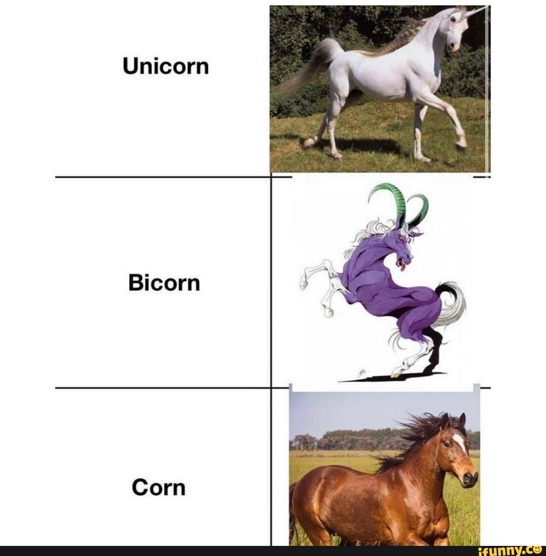 horse memes tumblr