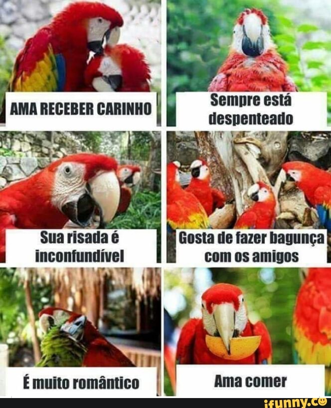 É muito romântico
Mt
Sempre está