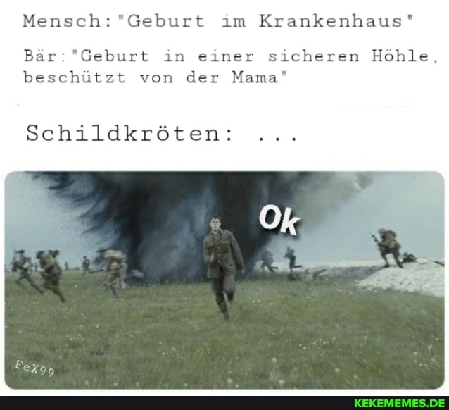 Mensch: "Geburt im Krankenhaus"
Bar in einer sicheren Höhle, beschützt von der Mama"
Schildkröten: