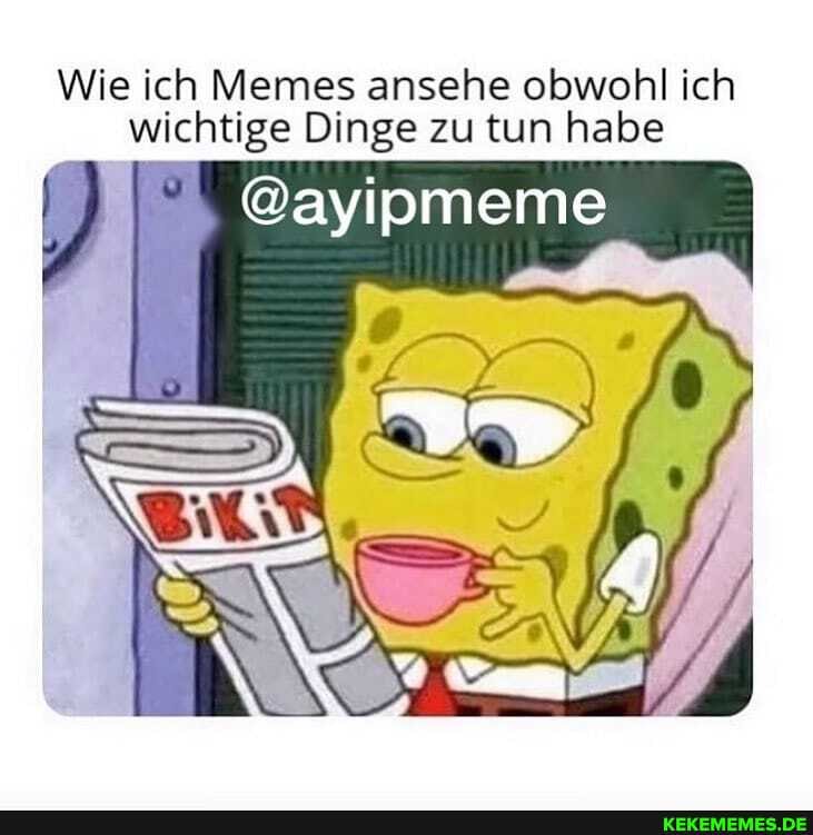 Wie ich Memes ansehe obwohl ich wichtige Dinge zu tun habe
@ayipmeme