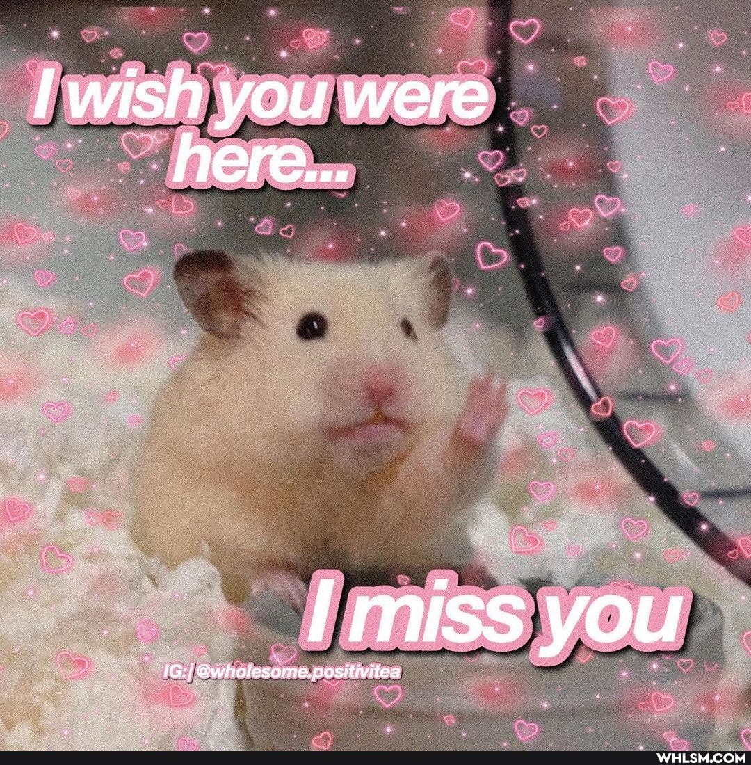wish you were here...
miss you
@wholeseme. positwitea