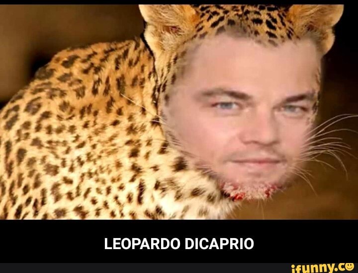 LEOPARDO DICAPRIO