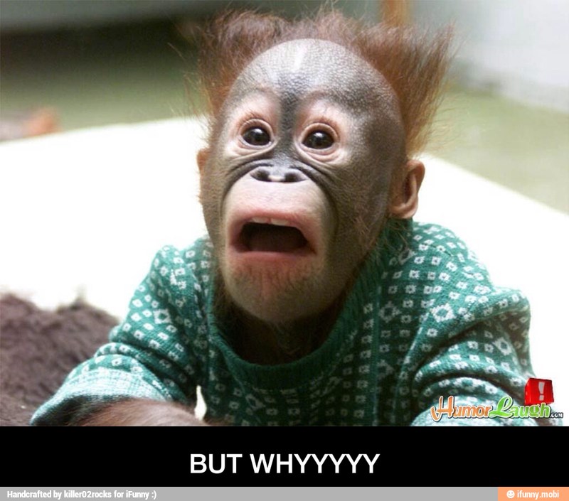 BUT WHYYYYY - BUT WHYYYYY