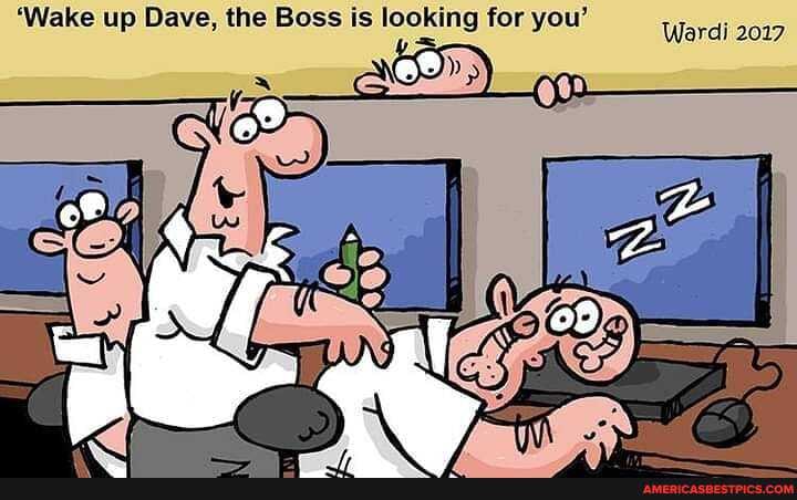 'Wake up Dave, the Boss is looking for you'
Wardi 2017