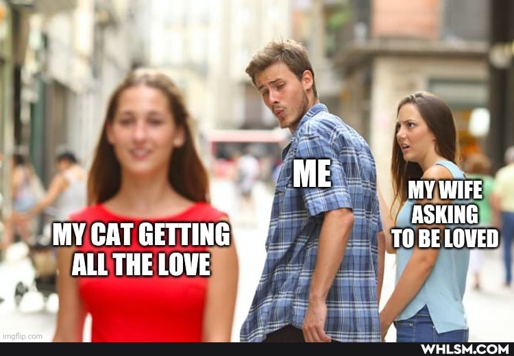 ME MY WIFE "
ASKING MY CAT GETTING TO BE LOVED
f, THE LOVE