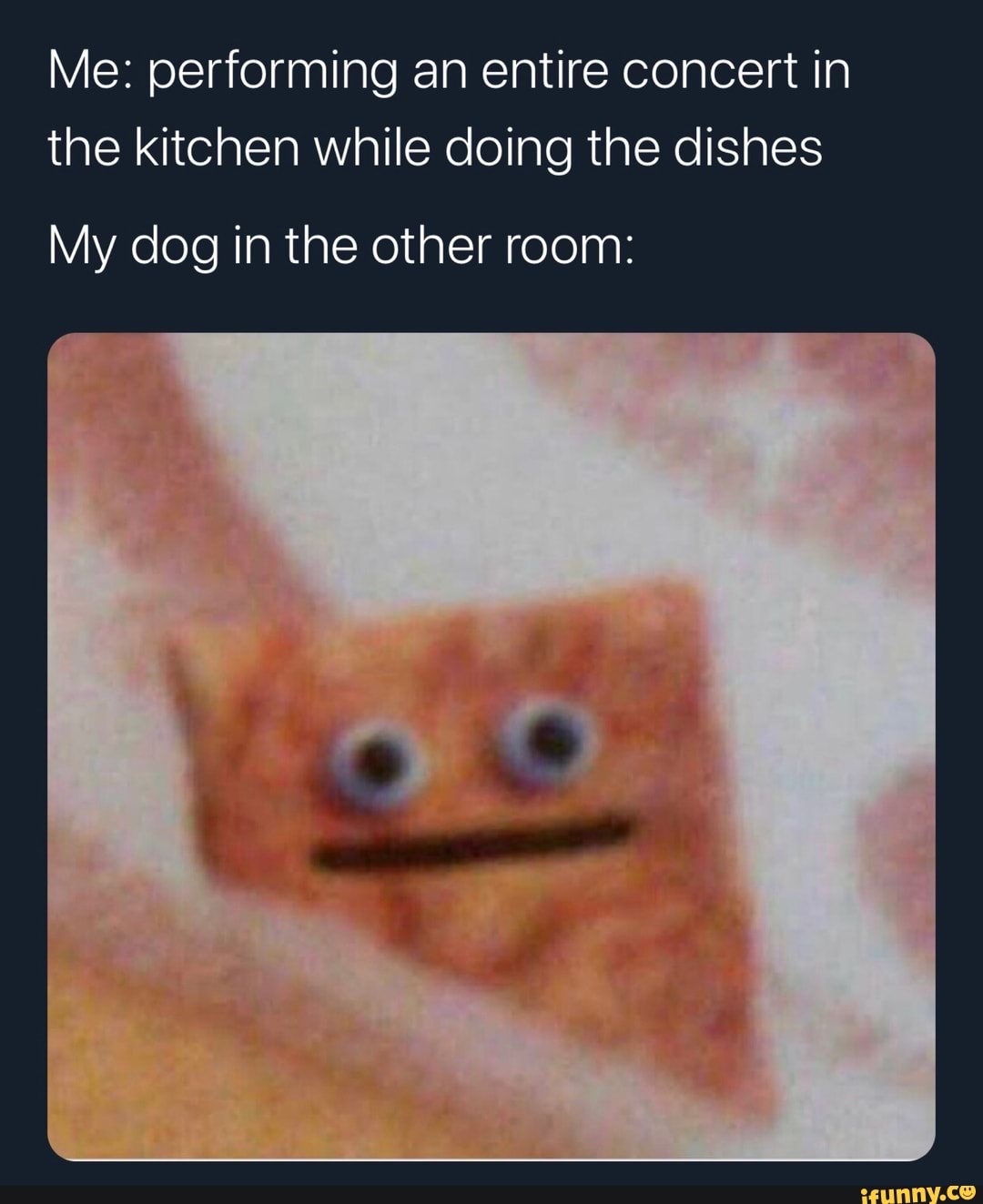 Me: performing an entire concert in the kitchen while doing the dishes
My dog in the other room: