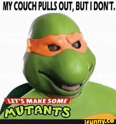 My Couch Pulls Out But Don T Ifunny