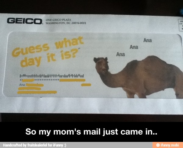 So my mom's mail just came in.. - So my mom's mail just came in..
