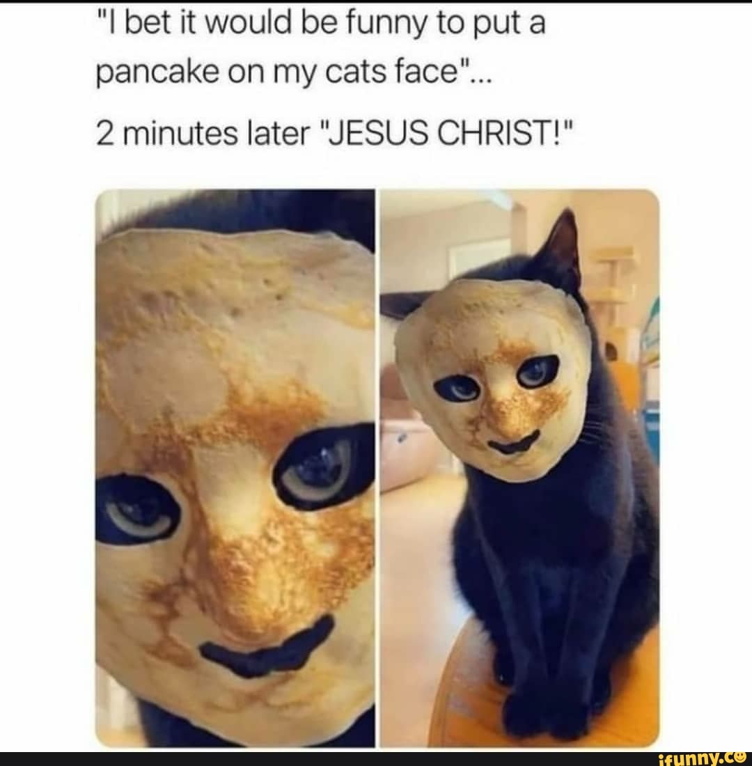 I bet it would be funny to put a pancake on my cats face