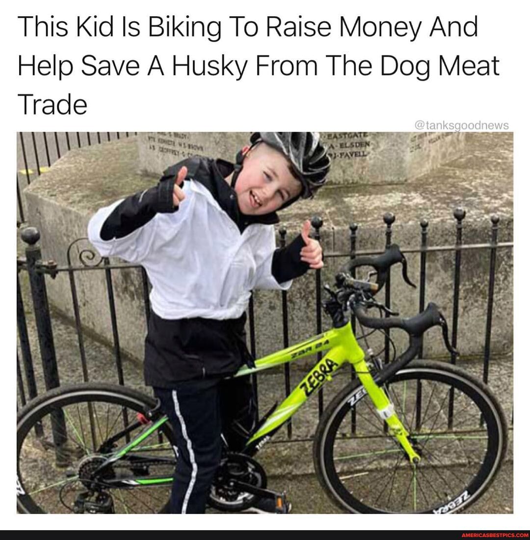 This Kid Is Biking To Raise Money And
Help Save A Husky From The Dog Meat
Trade
@tanksgoodnews
