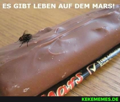 ES GIBT LEBEN AUF DEM MARSI