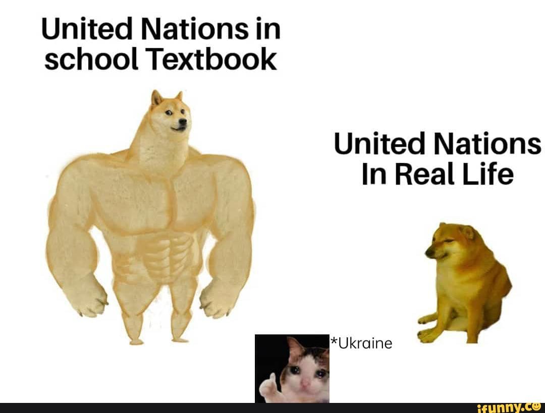 united-nations-in-school-textbook-united-nations-in-real-life-ukraine