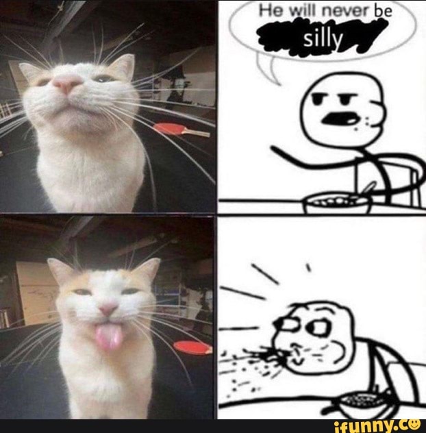 he-never-be-silly-ifunny