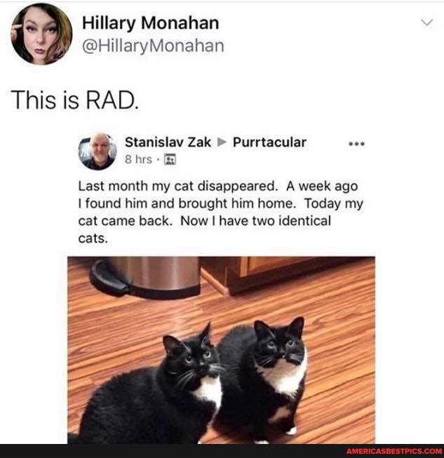 This is RAD.
Last month my cat disappeared. A week ago
I found him and brought him home. Today my cat came back. Now I have two identical cats.