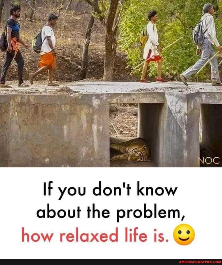 Noc
If you don't know about the problem, how relaxed life is.