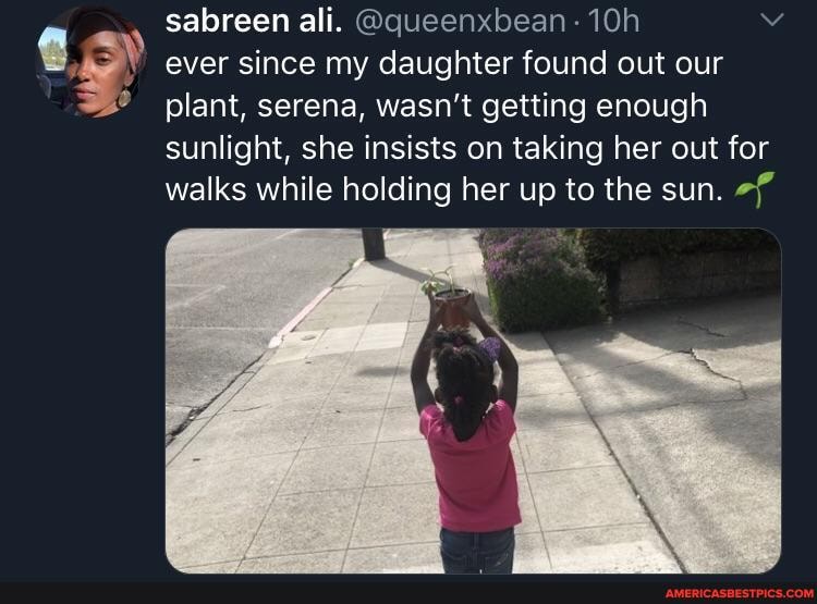 sabreen ali. @queenxbean
ever since my daughter found out our plant, serena, wasn't getting enough sunlight, she insists on taking her out for walks while holding her up to the sun.