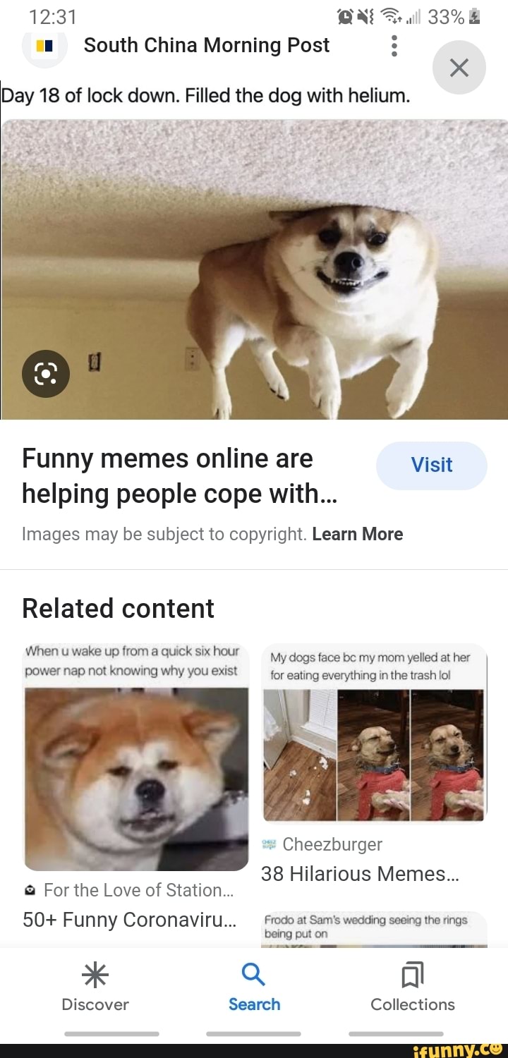 How To Cope With A Dog Being Put Down