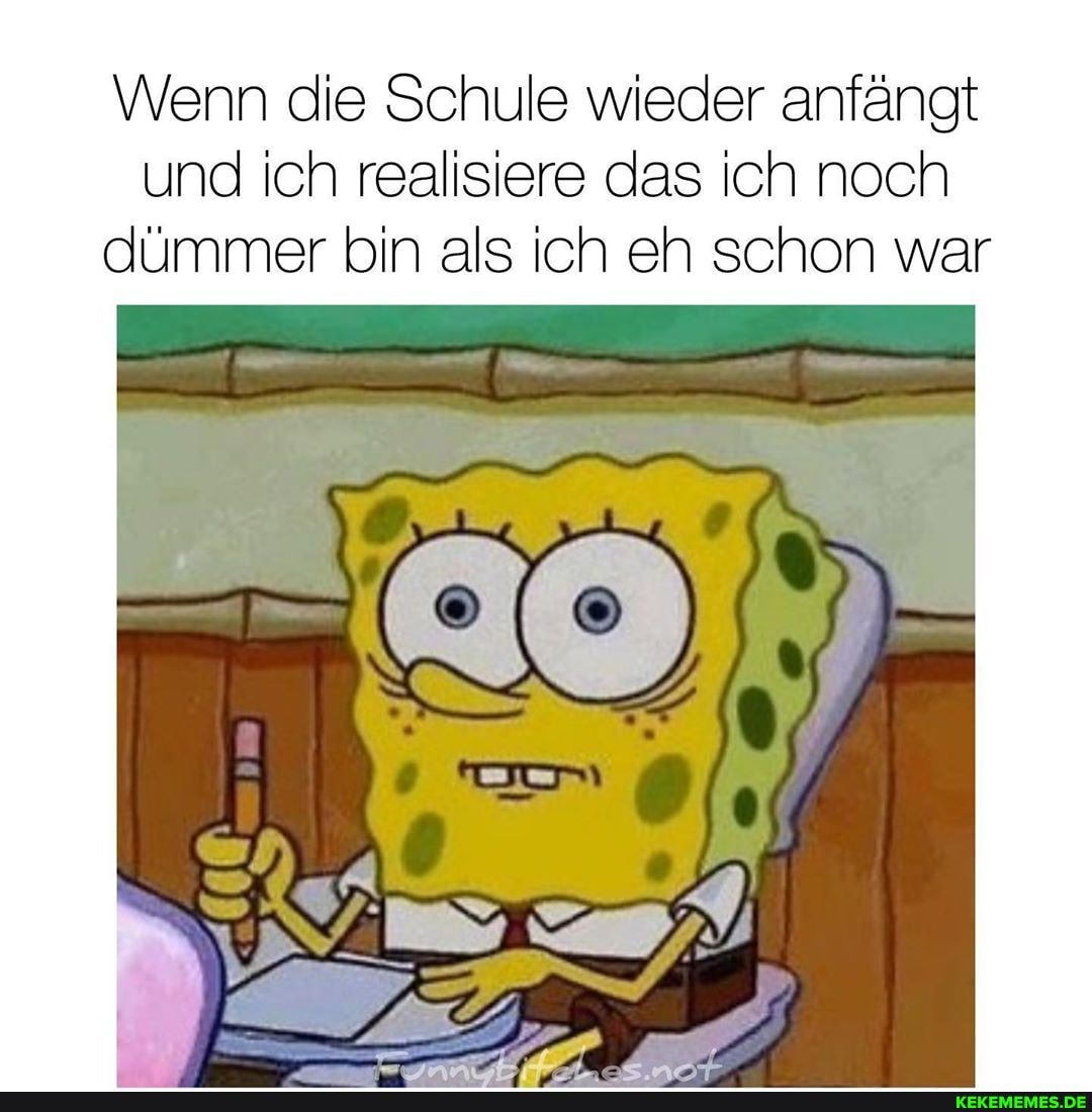 Wenn die Schule wieder anfängt und ich realisiere das ich noch dümmer bin als ich eh schon war
IN