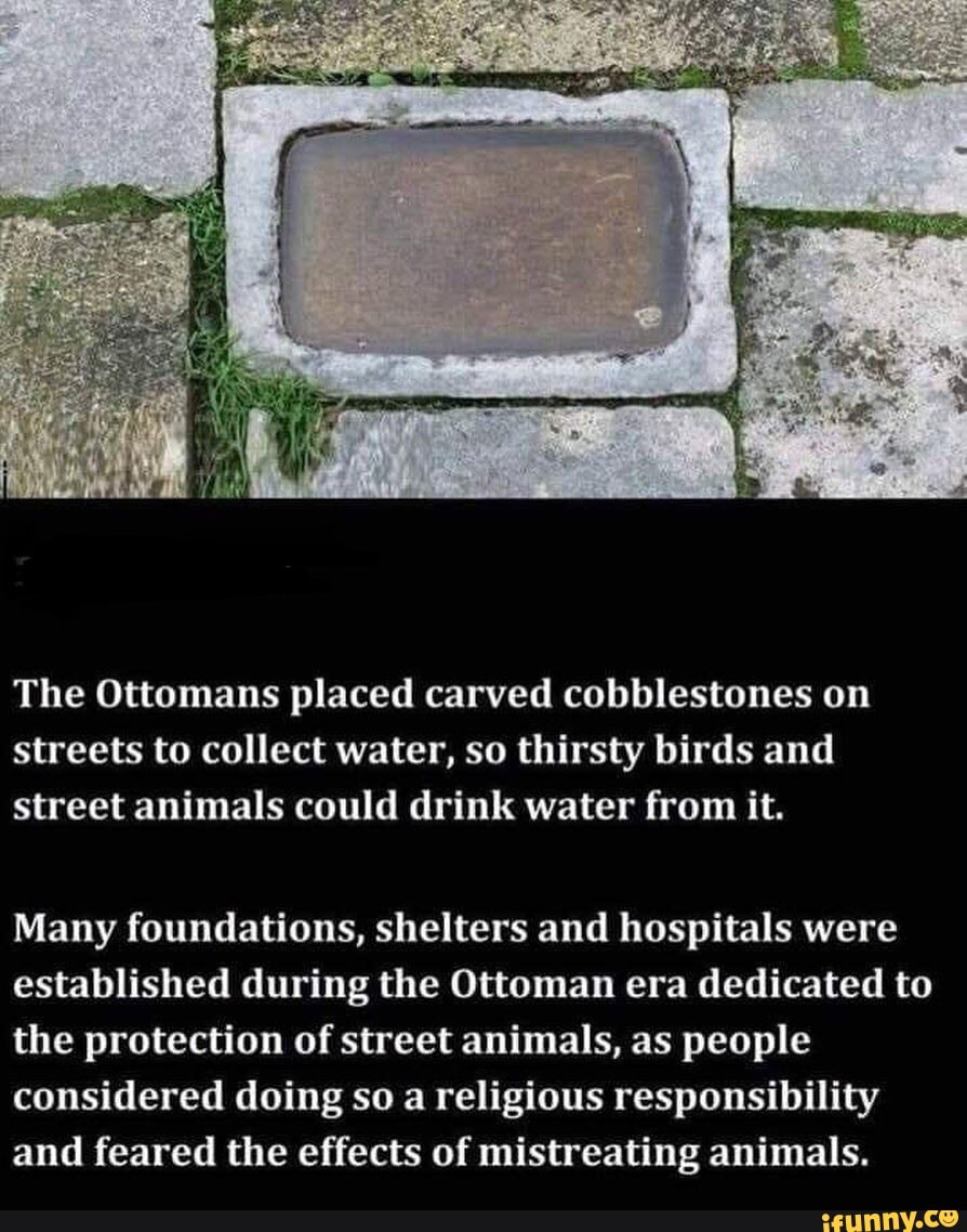 The Ottomans placed carved cobblestones on
streets to collect water, so thirsty birds and
street animals could drink water from it.
Many foundations, shelters and hospitals were
established during the Ottoman era dedicated to
the protection of street animals, as people
considered doing so a religious responsibility
and feared the effects of mistreating animals.