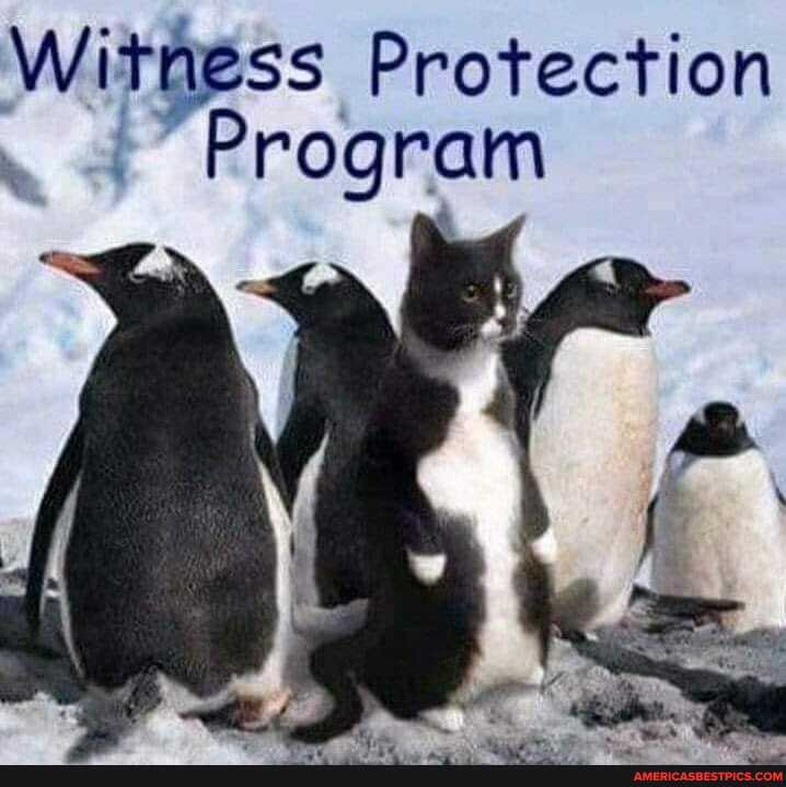 Protection
Program