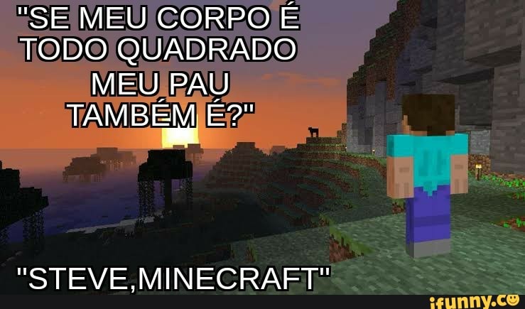 Se Meu Corpo Ie Todo Quadrado Meu Pau Tam Steve Minecraft