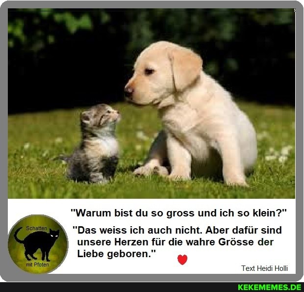 "Warum bist du so gross und ich so klein?"
"Das weiss ich auch nicht. Aber dafür sind unsere Herzen für die wahre Grösse der
Liebe geboren."
Text Heidi Holli