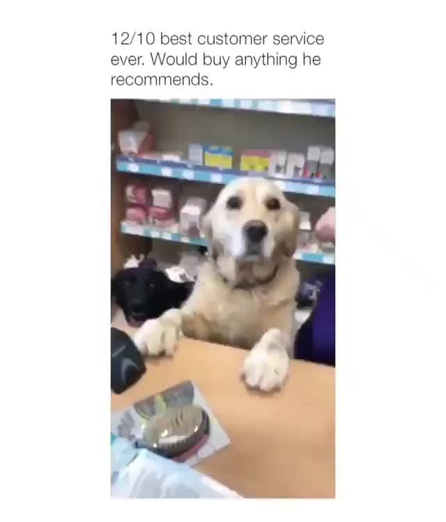 12/10 best customer service ever. Would buy anything he )