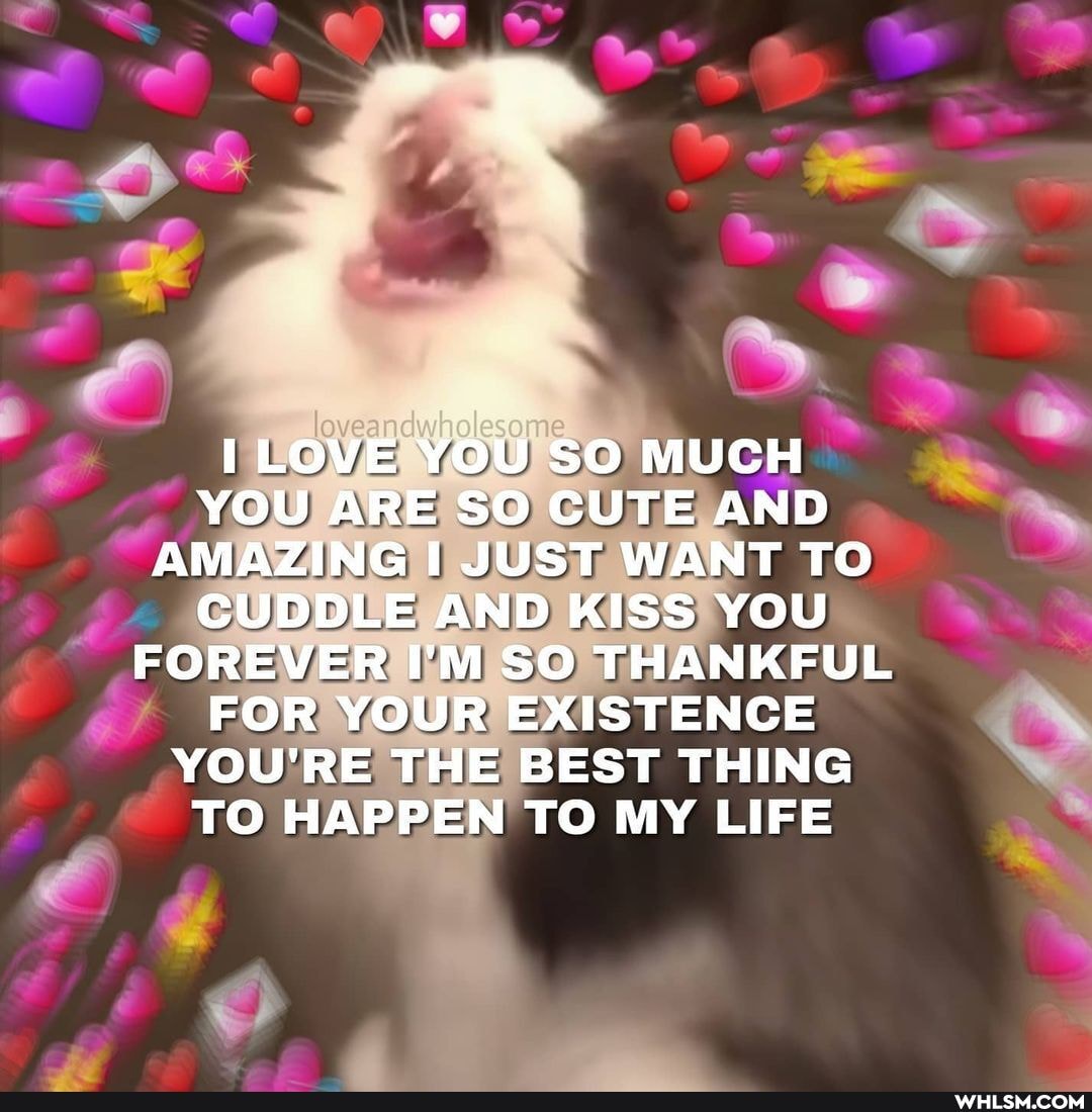 LOVE YOU SO MUCH YOU ARE SO CUTE AND AMAZING JUST WANT TO CUDDLE AND KISS YOU FOREVER I'M SO THANKFUL FOR YOUR EXISTENCE YOU'RE THE BEST THING TO HAPPEN TO MY LIFE
