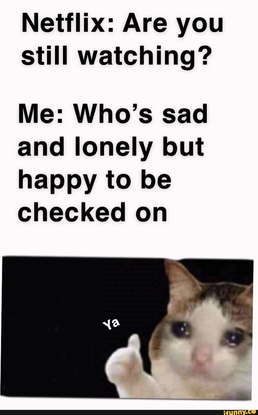 Netflix: Are you
still watching?
Me: Who's sad
and lonely but
happy to be
checked on