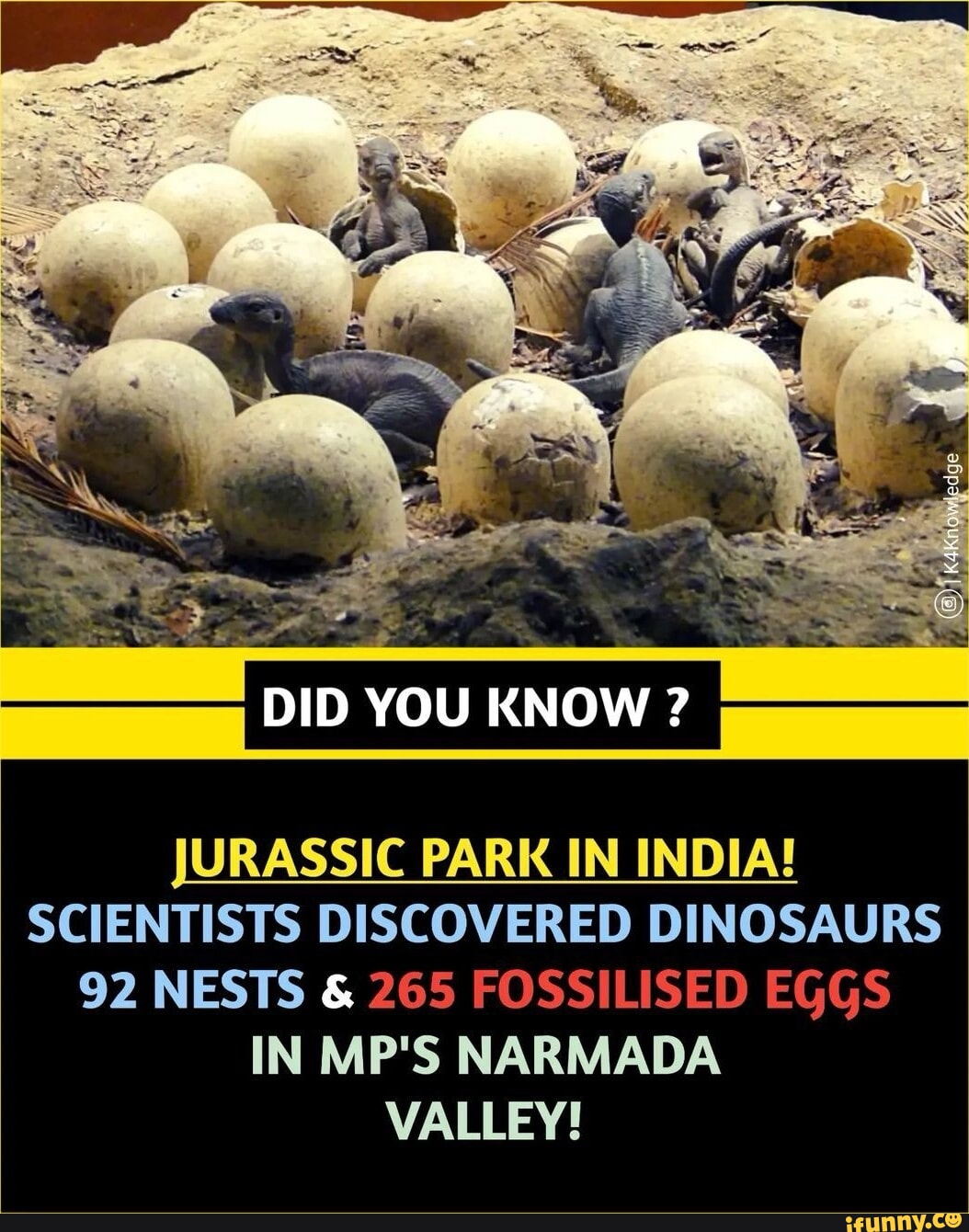 DID YOU KNOW? JURASSIC PARK IN INDIA! SCIENTISTS DISCOVERED DINOSAURS ...