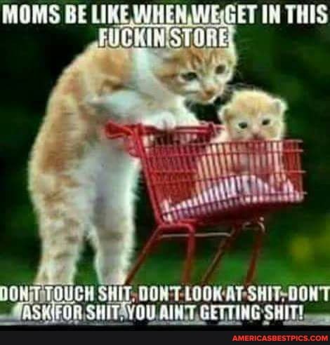 BEE WITCR AME GEE THTS PUCHINST AINE,
AT OF
AT SHU!
