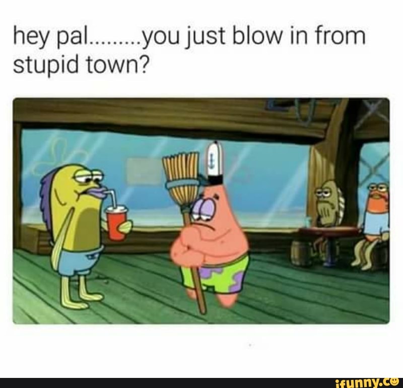 Hey Pal You Just Blow In From Stupid Town Ifunny