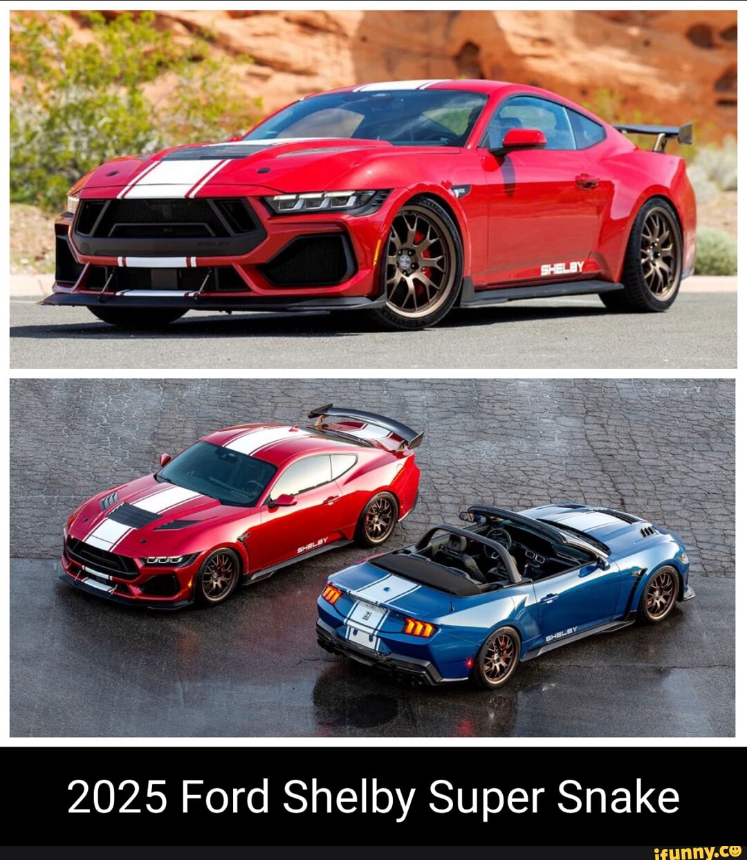 2025 Ford Shelby Super Snake iFunny