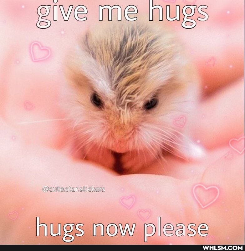 give me hugs
hues now please