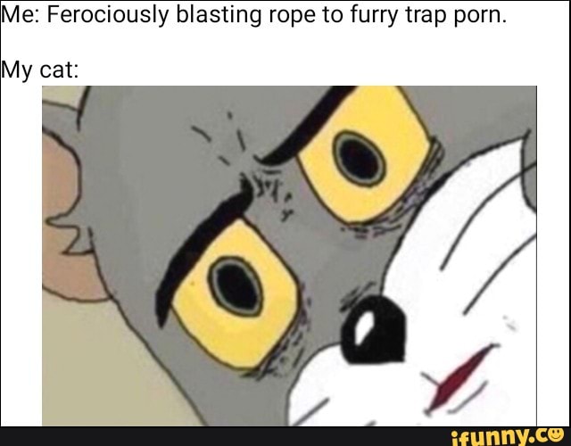Furry Trap Porn - Me: Ferociously blasting rope to furry trap porn. My (Eat ...