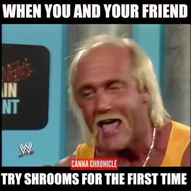 Thunderlips Robe Thunderlips Memes Hulk Hogan